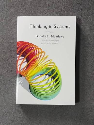 Thinking in Systems: A Primer by Donella Meadows — white cover with a rainbow slinky.